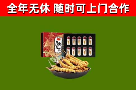 天桥区回收冬虫夏草价格